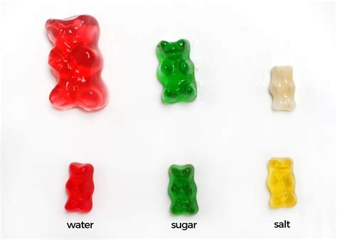 tanis gummy bear  Gelatine doesn’t dissolve in water, but it allows water to pass through so it functions as a semipermeable membrane
